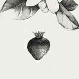 Tableau - " La fraise et la fleur d'oranger"