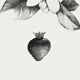 Tableau - " La fraise et la fleur d'oranger"