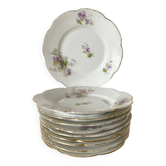 Purple deocr porcelain dessert plates