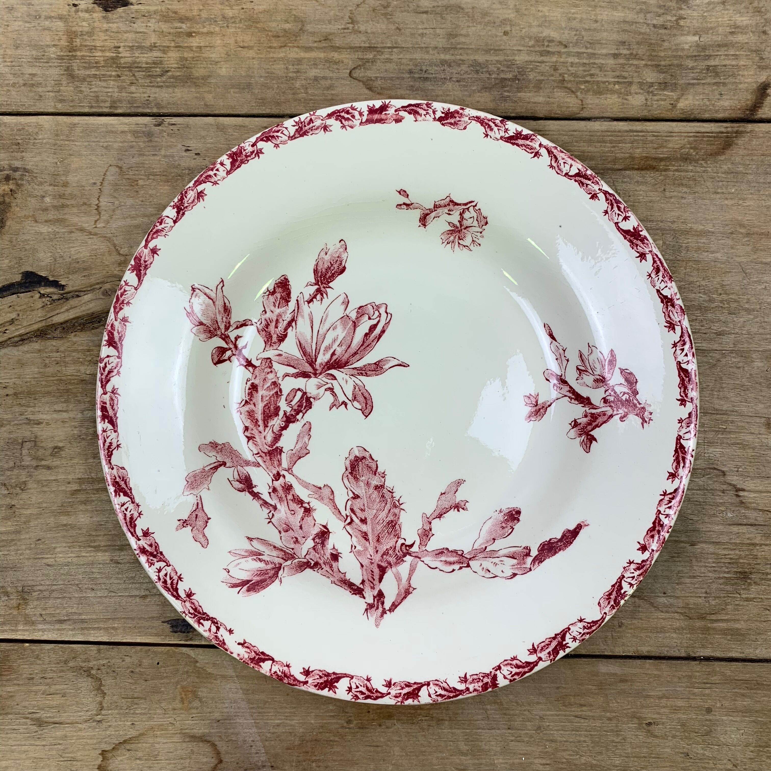 Lot de 6 assiettes creuses modèle Cactus de Gien