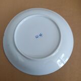 Saucers
