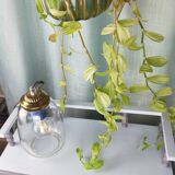 Transparent glass lamp type walkman