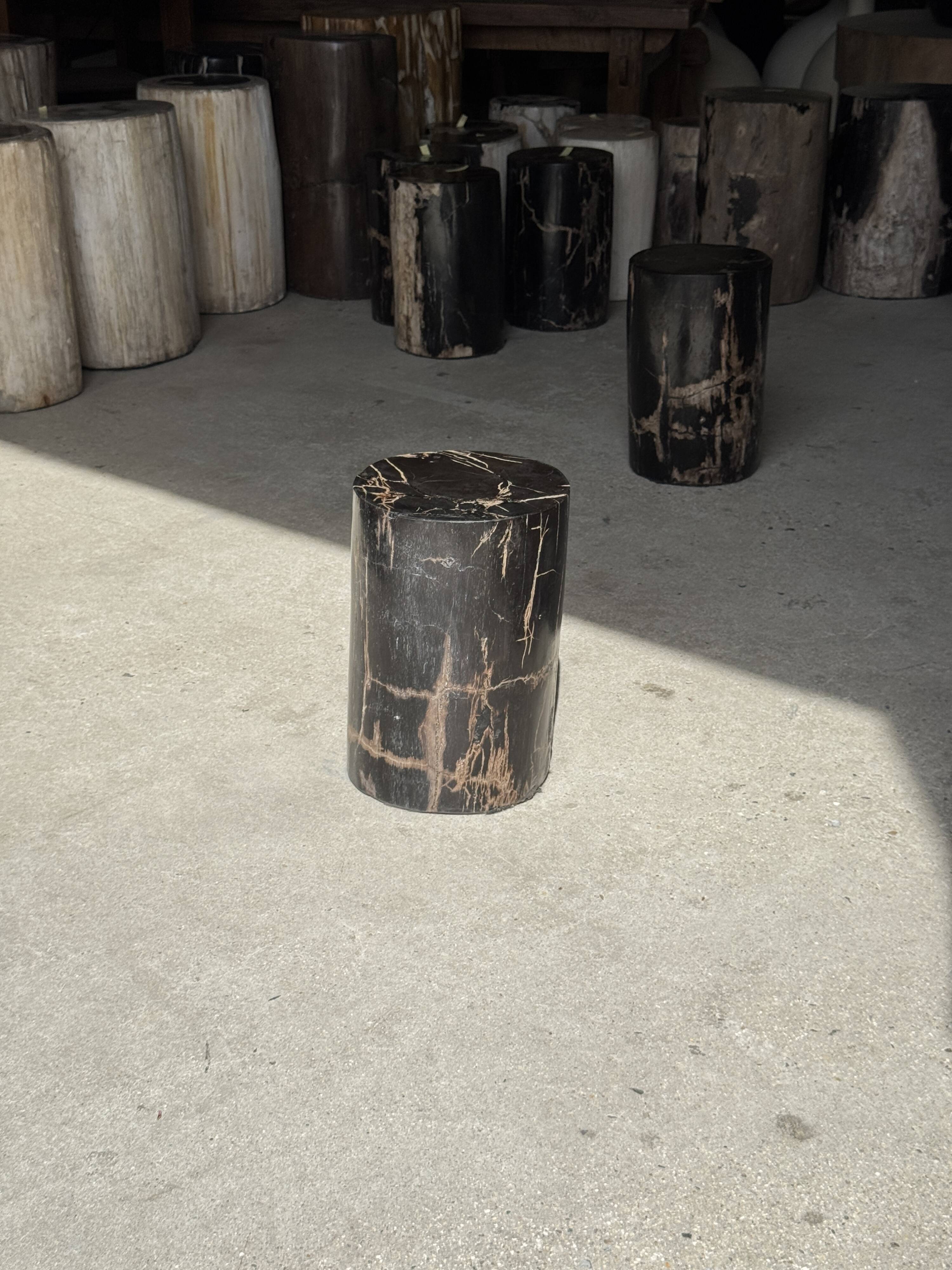 Small black petrified wood side table with beige stripes H28 D18 - 3347