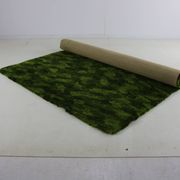 Beau tapis vert mélangé
