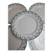 Set of 6 flat plates, Gien Montigny ironstone – old green decoration.