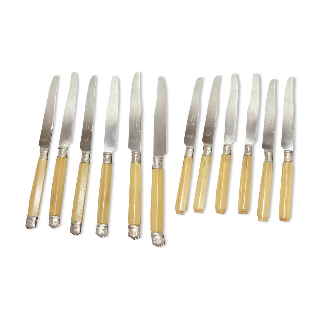 Coffret De 12 Couteaux De Table Anciens - Lames Inox - État Occasion Fonctionnel