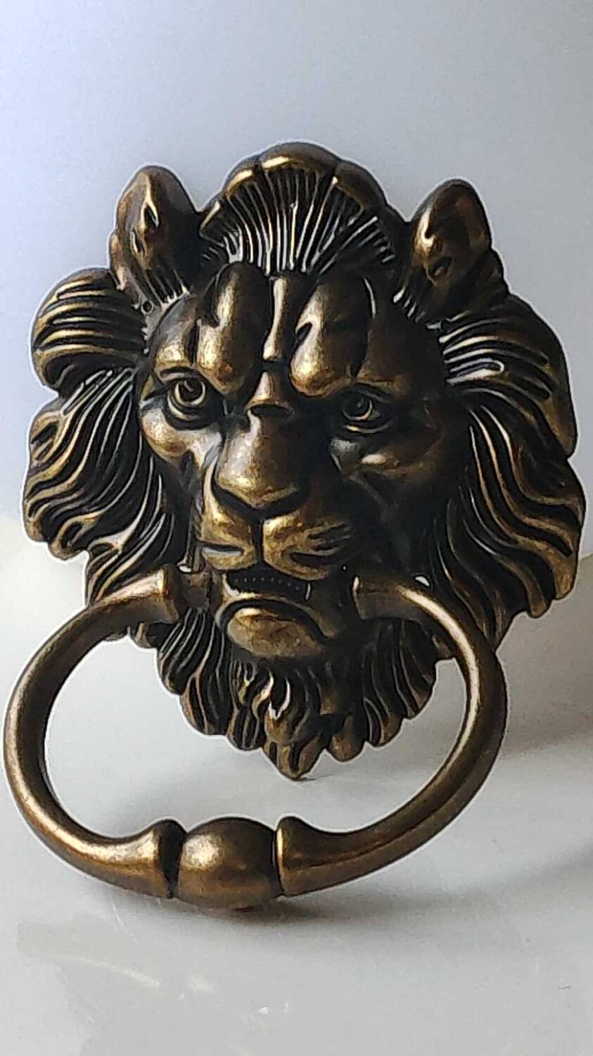 Antique Lion Head Door Knocker/Knocker, with Antique Bronze Patina 16 x 12 cm