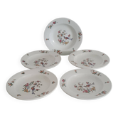 Lot de 5 assiettes creuses "oiseau de paradis" Sarreguemines