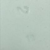 Oval plate from Furnival pottery.