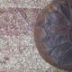 Vintage Berber Rug - 298 x 203 cm