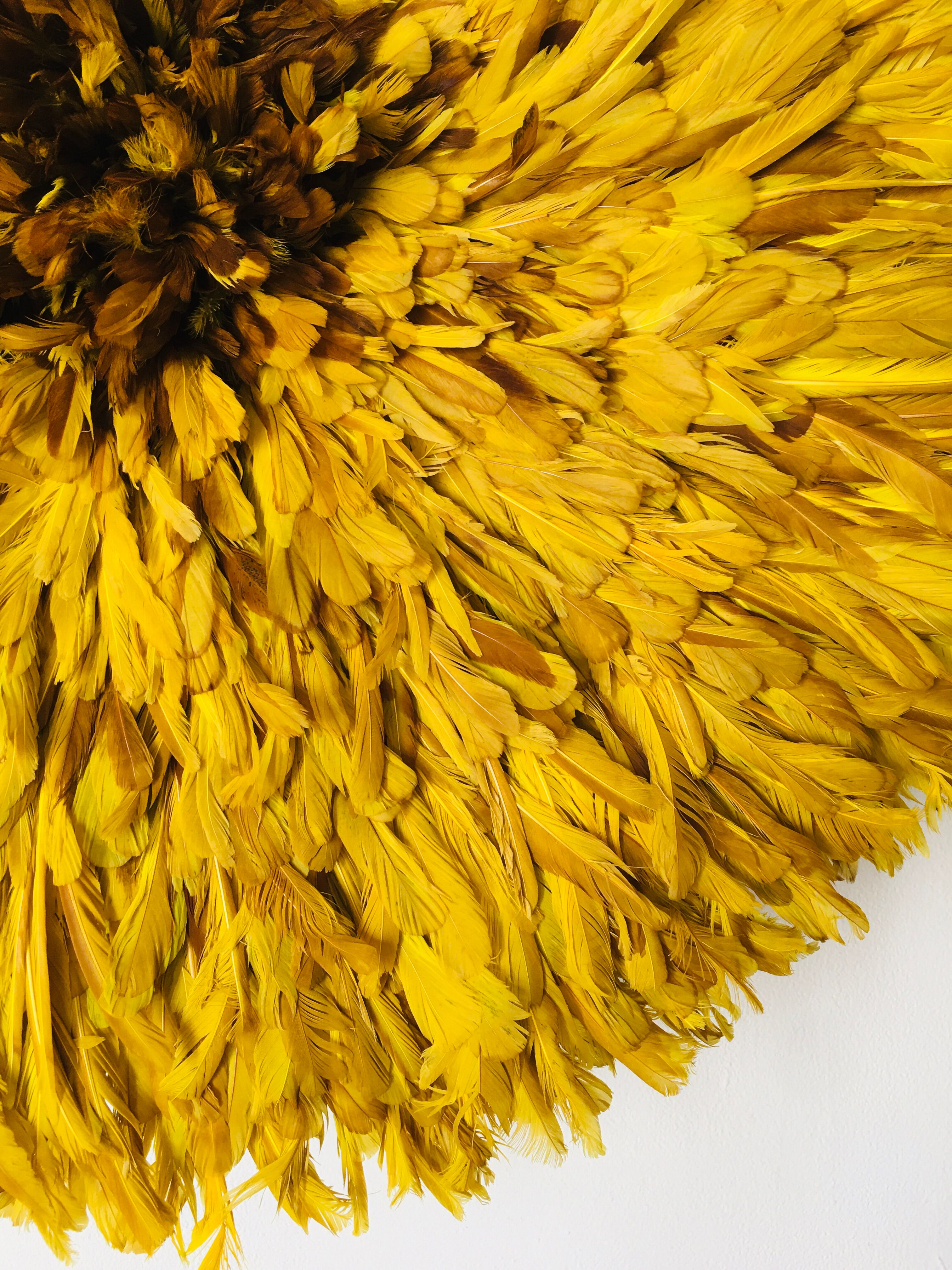 Yellow Jujuhat 80 cm