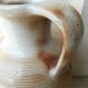Stoneware pitcher from the Marais