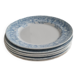 Set of 6 iron earthenware plates