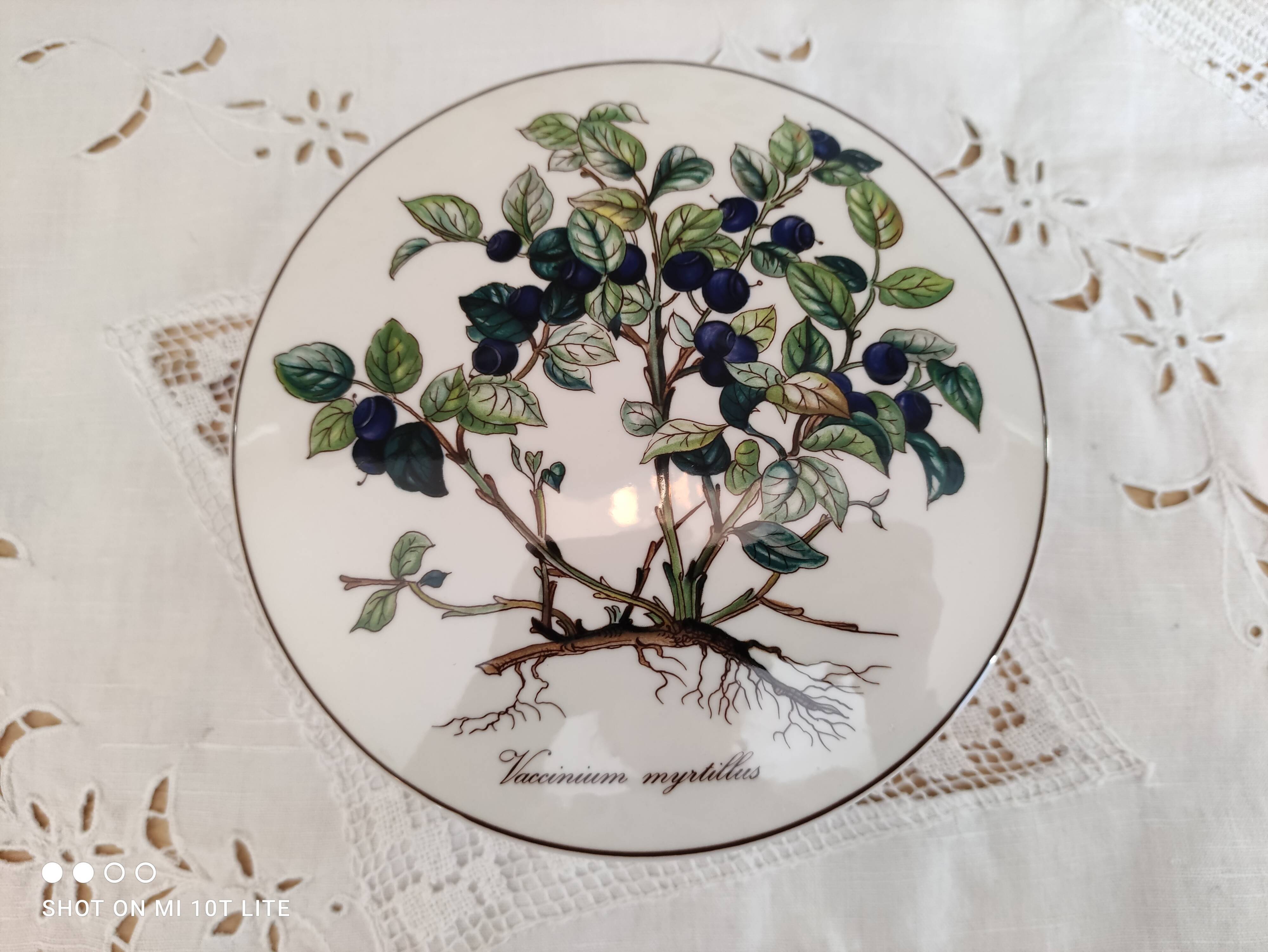 Porcelain box villeroy & boch model botanica "vaccinium myrtillus"