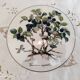 Porcelain box villeroy & boch model botanica "vaccinium myrtillus"