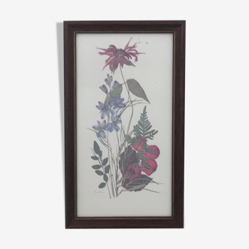 Botanical engraving of vintage flowers in its frame