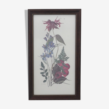 Herbier fleurs vintage dans son cadre