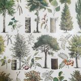 Lithograph on trees from 1928 "poplar"