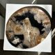 Large empty pocket or dish in petrified wood