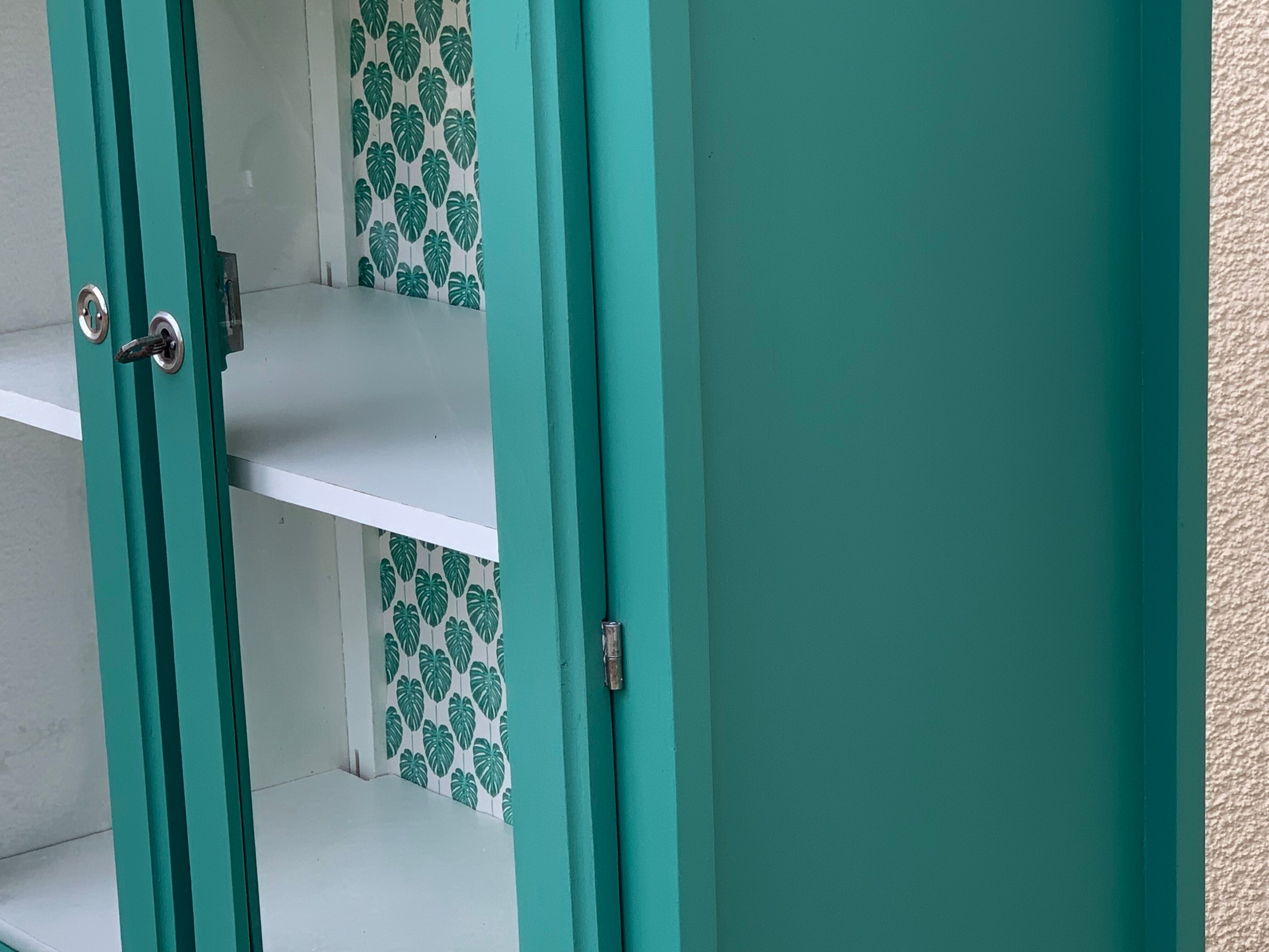 Parisian glazed wardrobe 1930