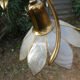 Brass chandelier and flowers in mother-of-pearl petals