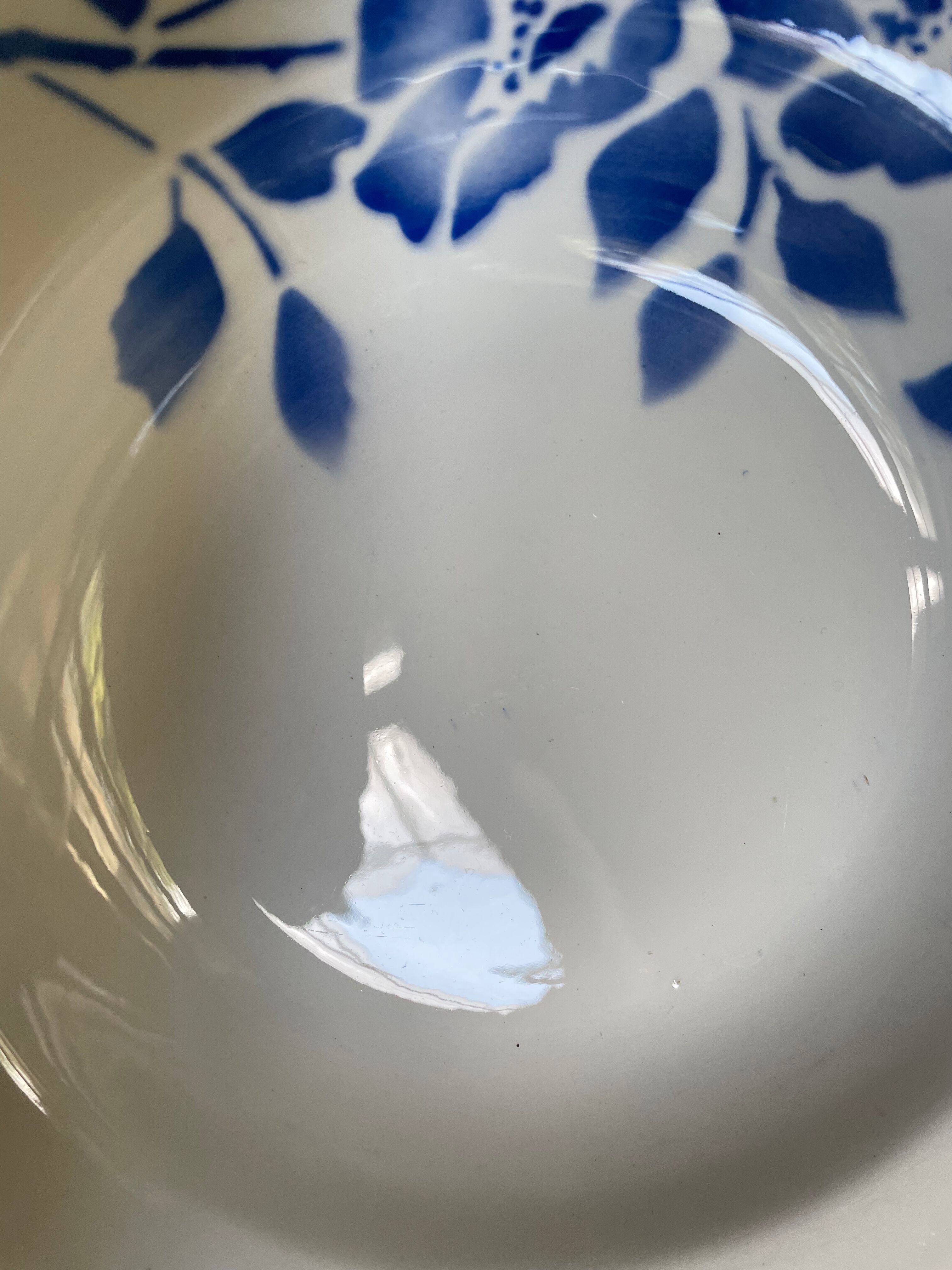 Hollow plates ceranord saint amand blue flower