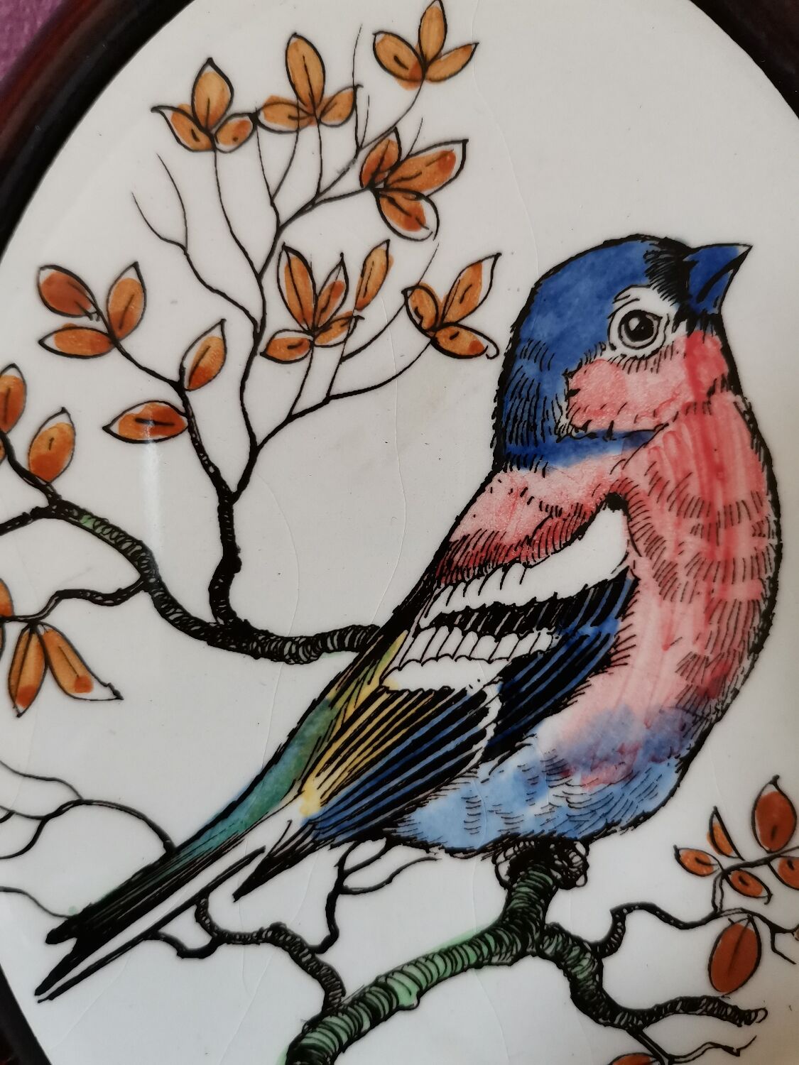 Bullfinch bird frame