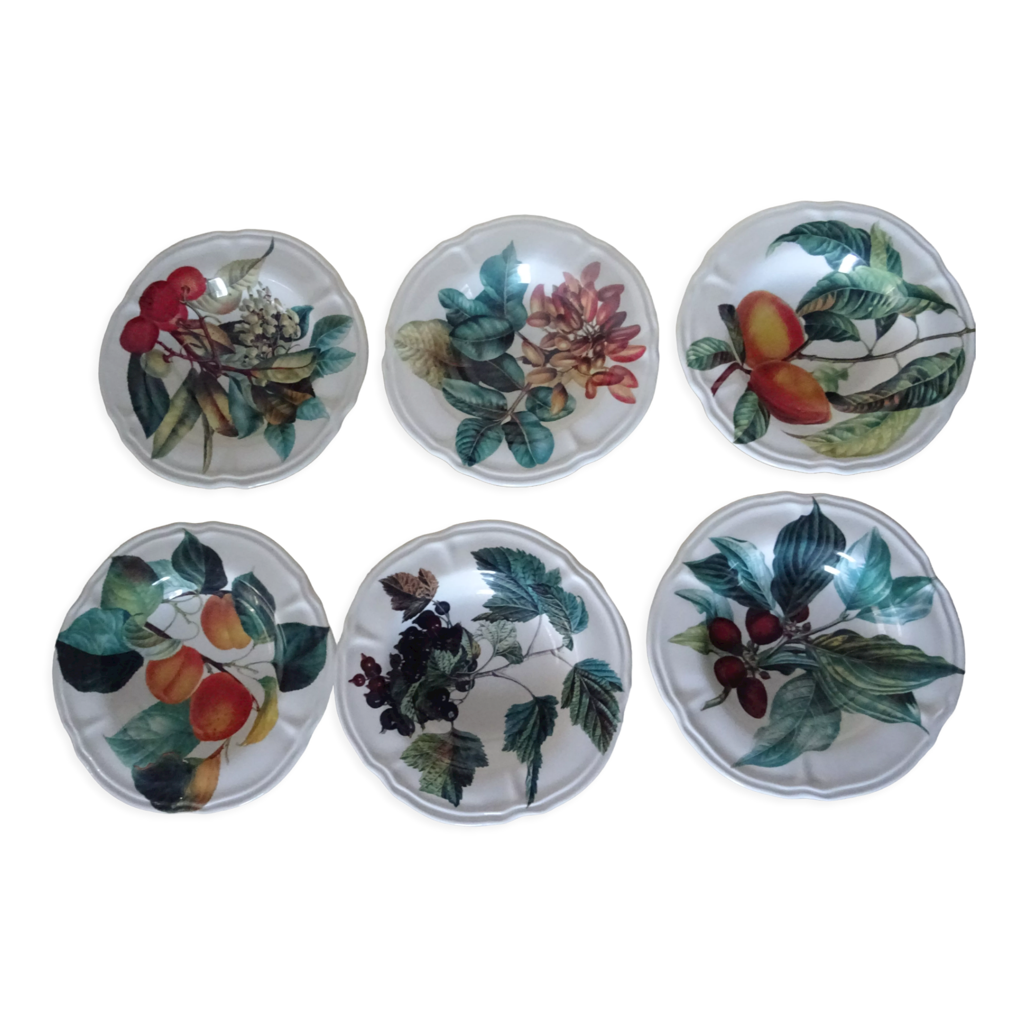 6 hollow plates fruit poetry 360112 princess line