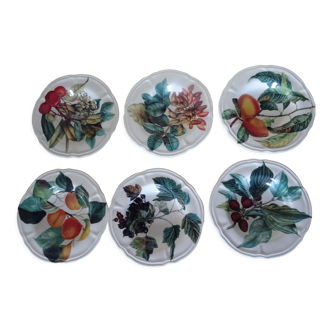 6 hollow plates fruit poetry 360112 princess line