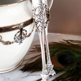 Solid silver sugar clamp lion's claws