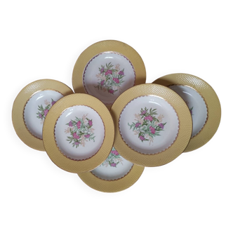 Amandinoise plate service