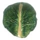 Unique cabbage leaf trinket tray
