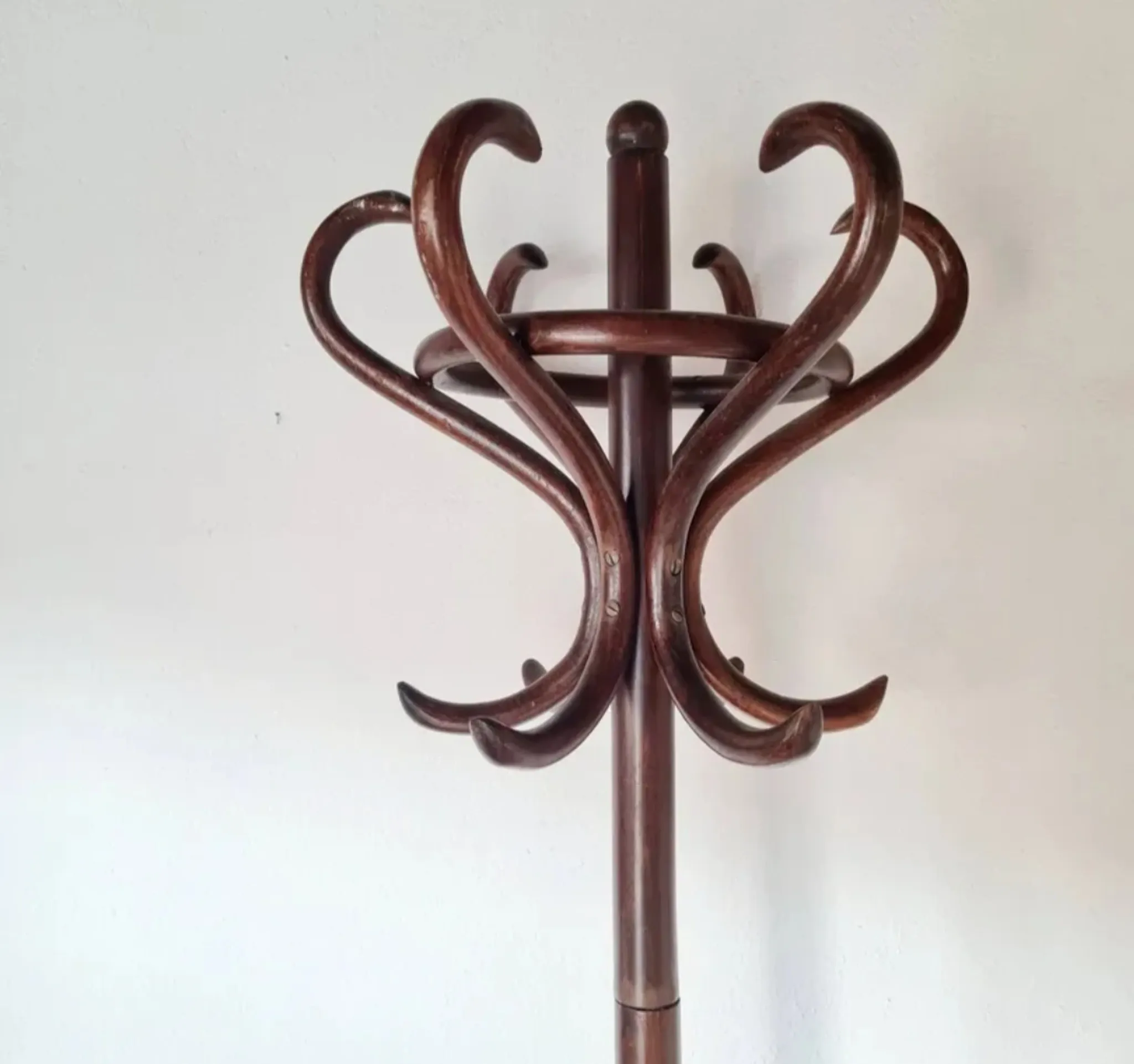 Antique curved wooden coat rack in the Thonet style, 1875.
