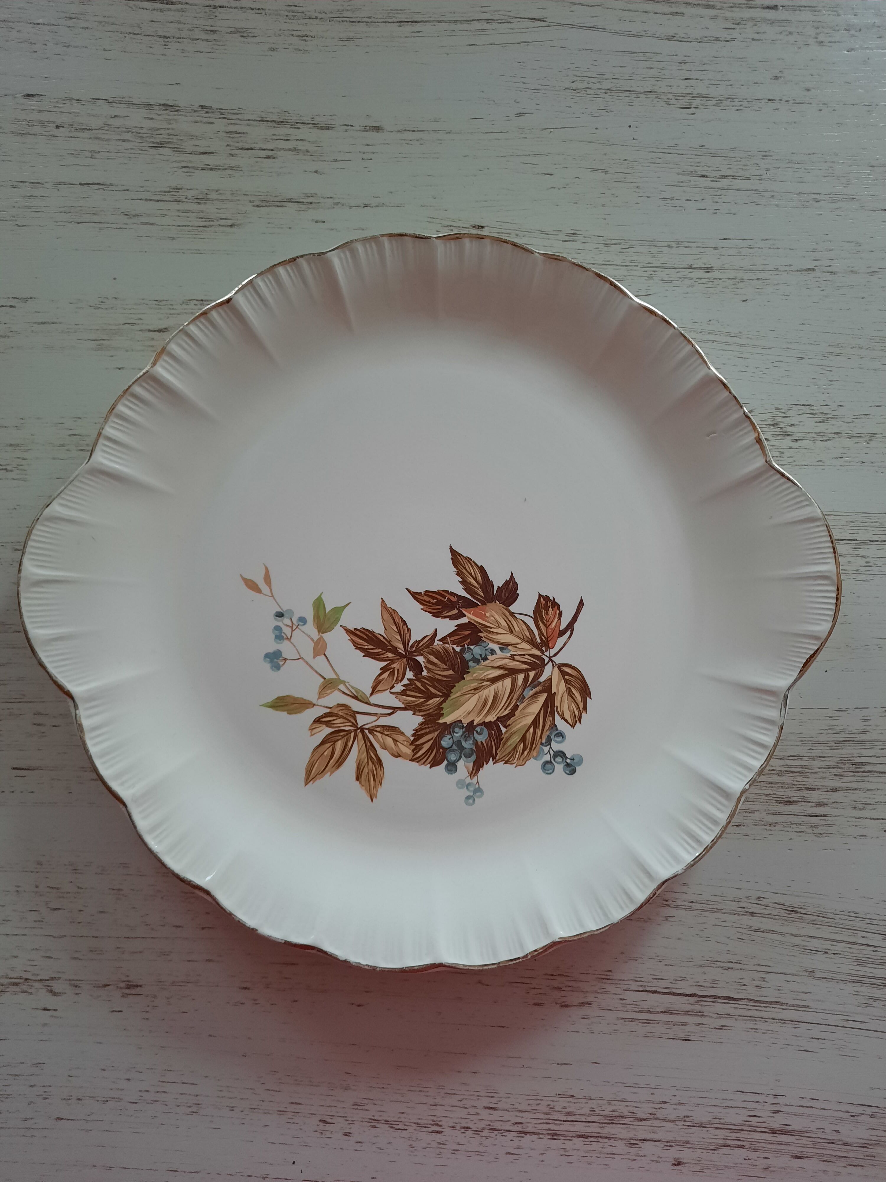 Digoin Sareguemine dish