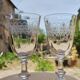 6 engraved glass wine/water glasses from the early 20th century.