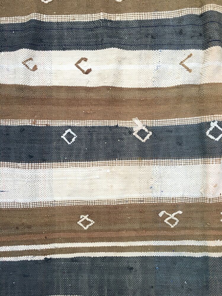 Carpet, 255 X 170