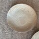 5 stoneware fish plates