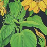 Large Vintage School Card Sunflower Jung Koch Quentell 117cm