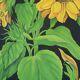 Large Vintage School Card Sunflower Jung Koch Quentell 117cm