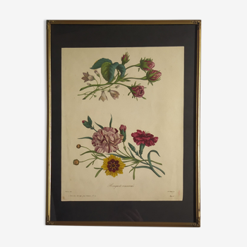 Botanical plate '' inverted bouquets '' 19th century lithograph