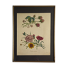 Botanical plate '' inverted bouquets '' 19th century lithograph