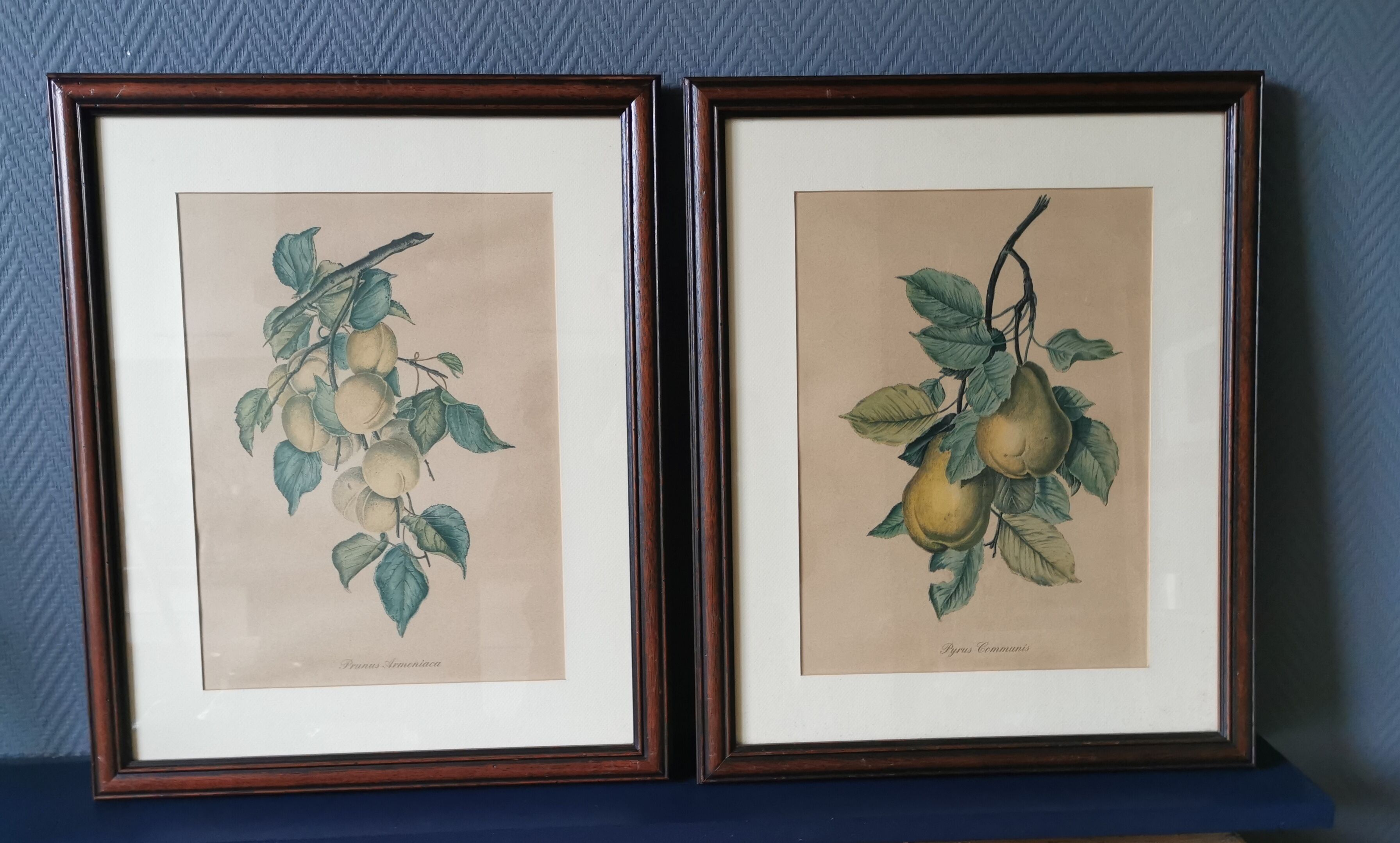 2 tableaux reproduction poires et prunes