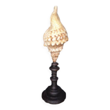 Cabinet of Curiosities 49cm Fasciolaria Shell on base