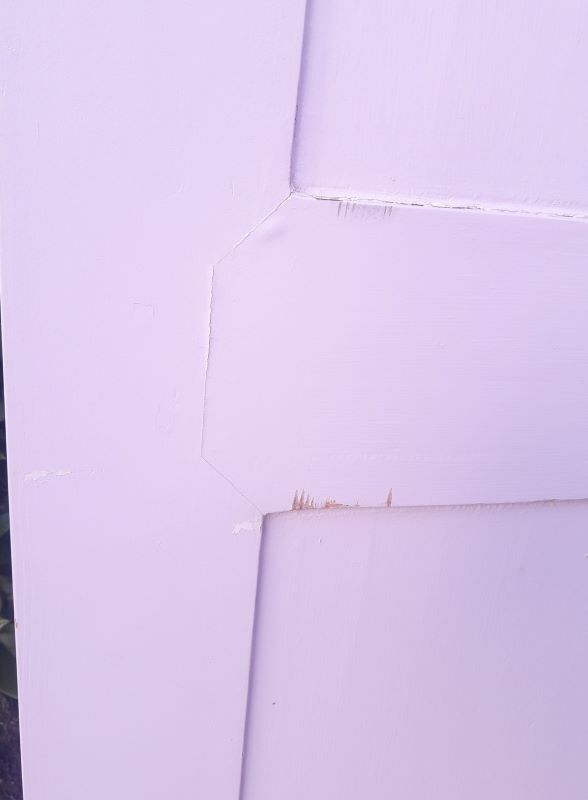 Pair of doors 229,5x110cm closet