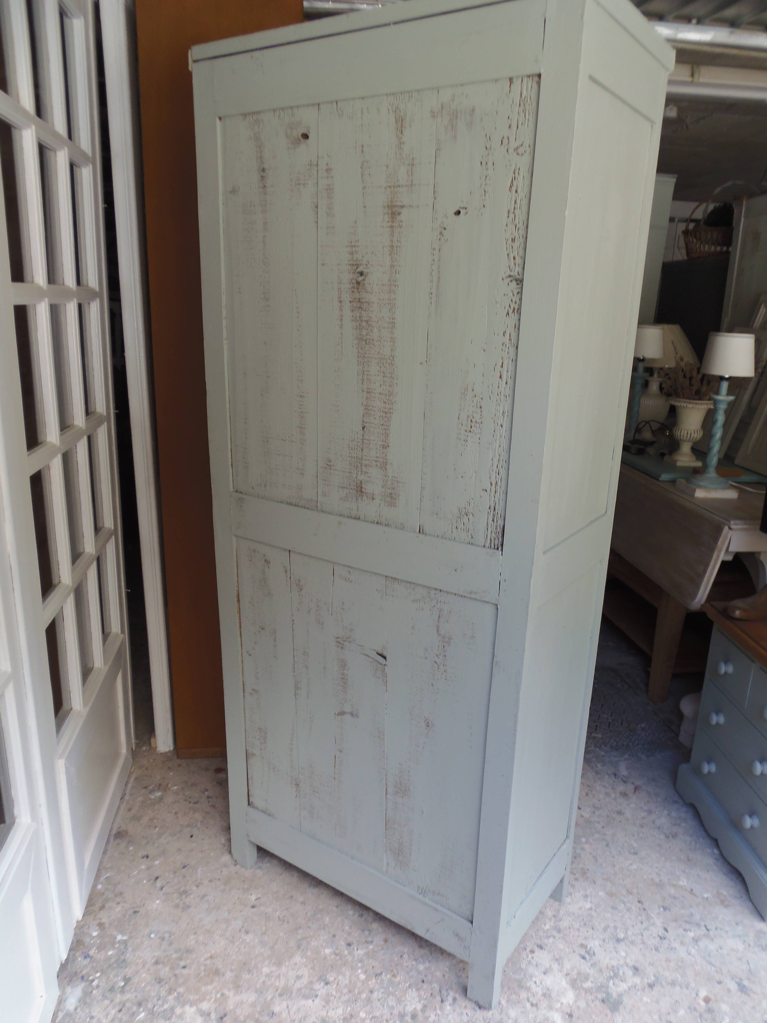 Vintage Parisian wardrobe with 1 vintage door re-enchanted in verdigris