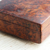 Boite en loupe de noyer