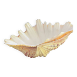 Empty shell stoup pocket