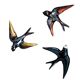 Vallauris birds
