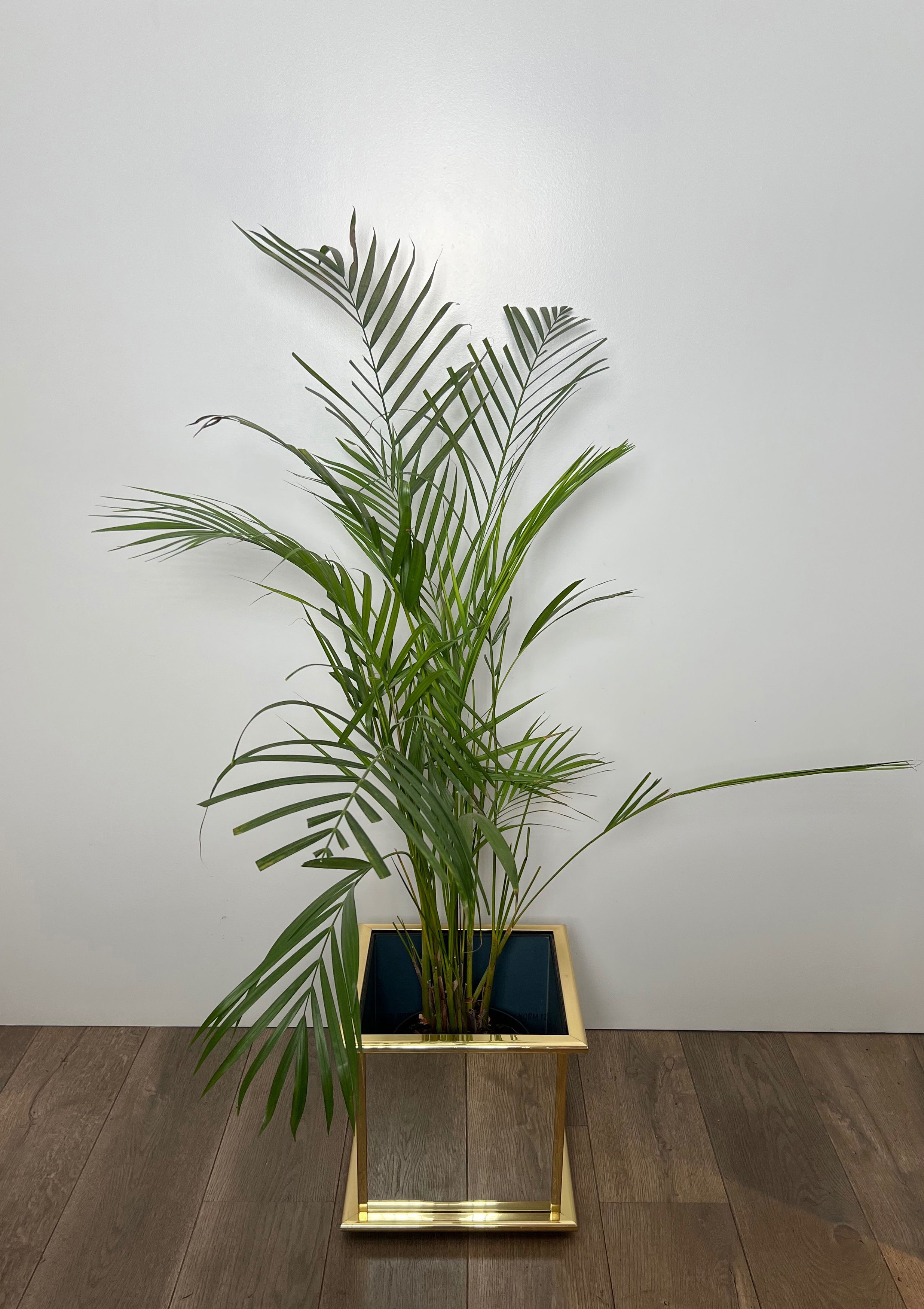 Jardinière en miroir et métal doré