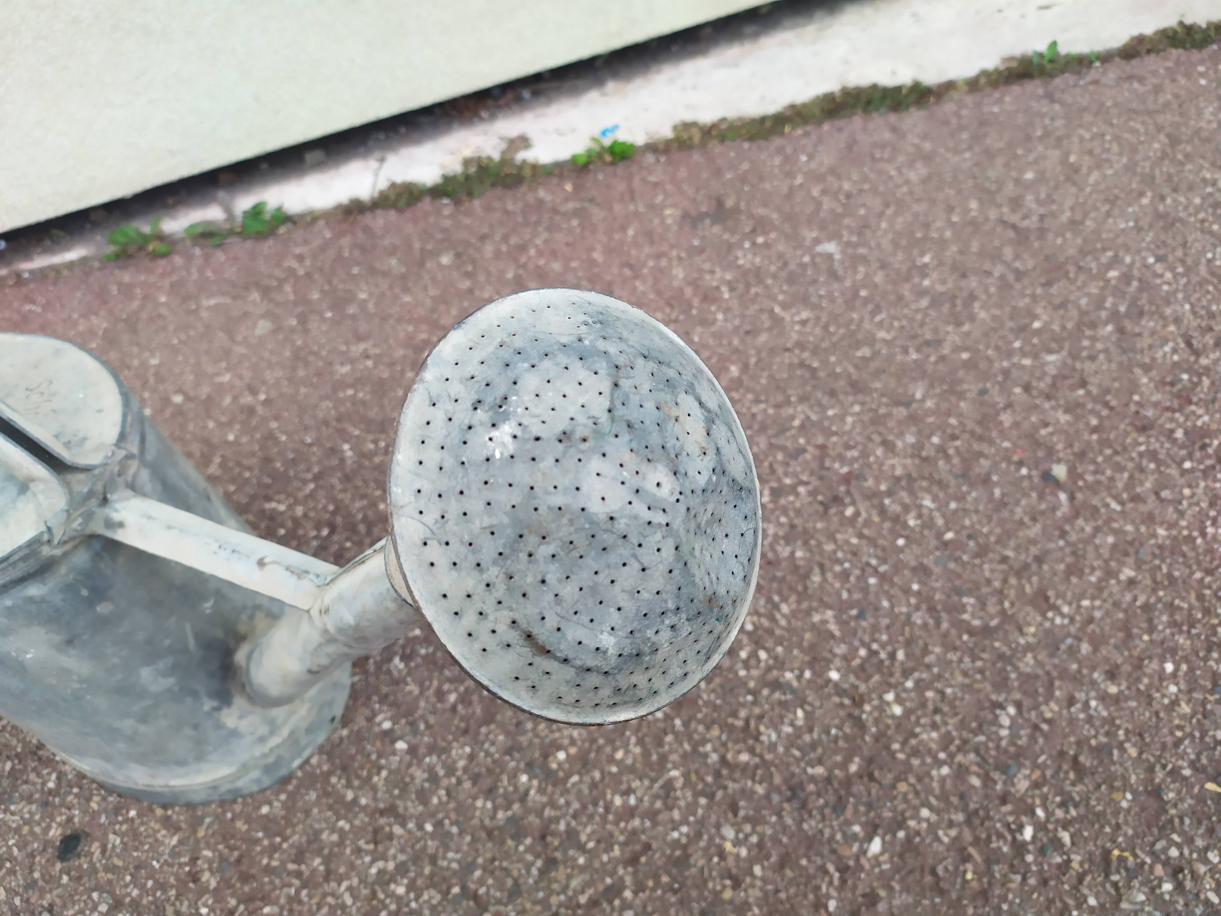 Zinc watering can + pommel - german